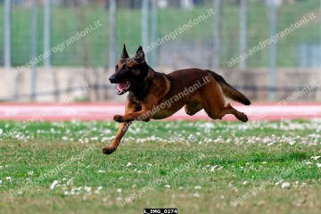 L_IMG_0274.jpg