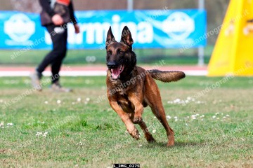 L_IMG_0275.jpg