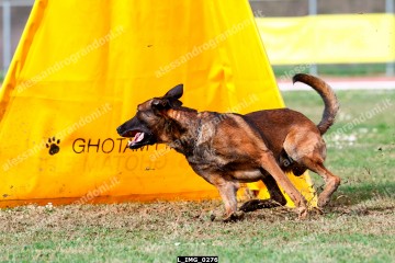 L_IMG_0276.jpg