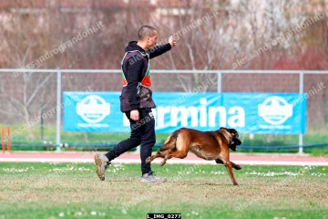 L_IMG_0277.jpg