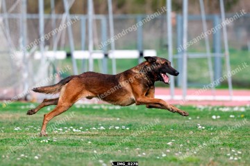 L_IMG_0278.jpg