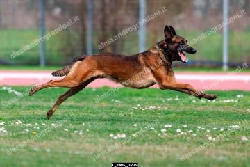 L_IMG_0279.jpg