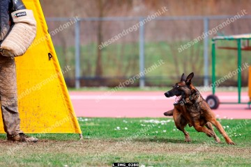 L_IMG_0280.jpg