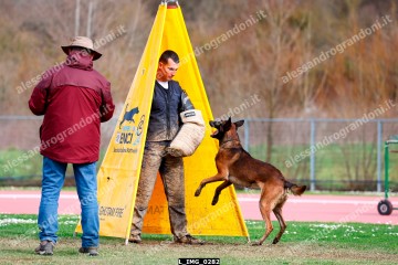 L_IMG_0282.jpg