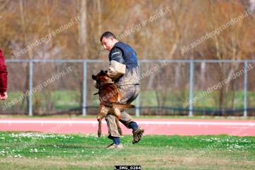 L_IMG_0284.jpg