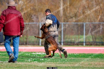 L_IMG_0286.jpg