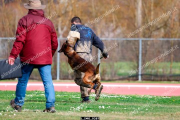 L_IMG_0287.jpg
