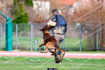 L_IMG_0288.jpg