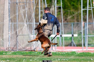 L_IMG_0289.jpg