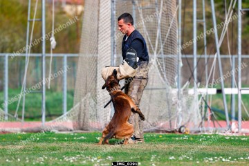 L_IMG_0291.jpg