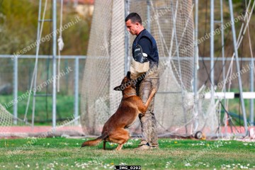 L_IMG_0292.jpg