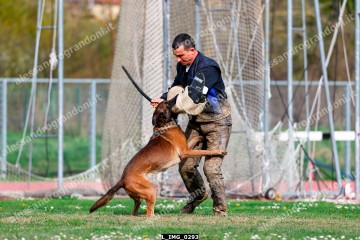 L_IMG_0293.jpg