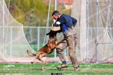 L_IMG_0294.jpg