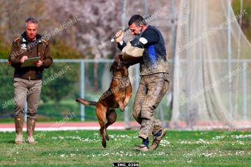 L_IMG_0296.jpg