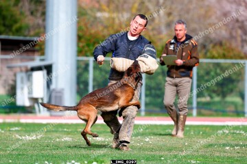 L_IMG_0297.jpg