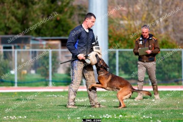 L_IMG_0299.jpg