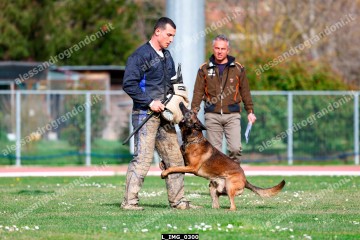 L_IMG_0300.jpg