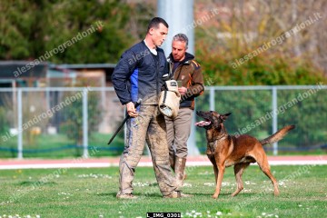 L_IMG_0301.jpg