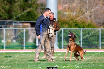 L_IMG_0303.jpg