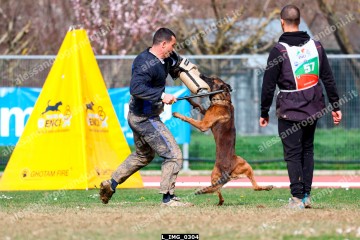 L_IMG_0304.jpg