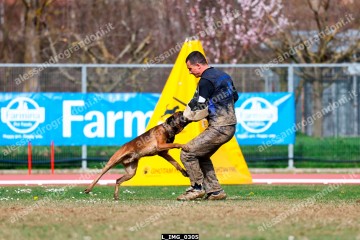 L_IMG_0305.jpg