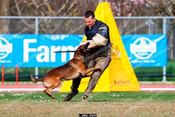 L_IMG_0307.jpg