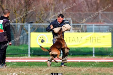 L_IMG_0309.jpg