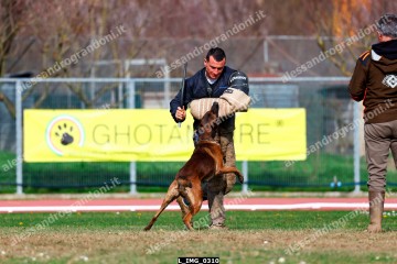 L_IMG_0310.jpg