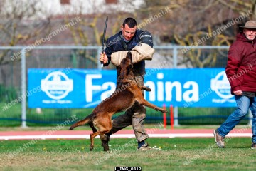 L_IMG_0312.jpg