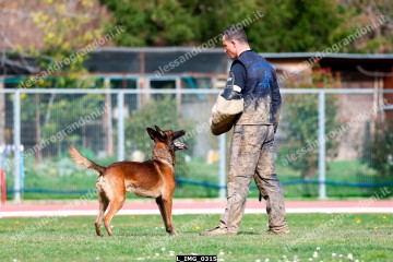 L_IMG_0315.jpg