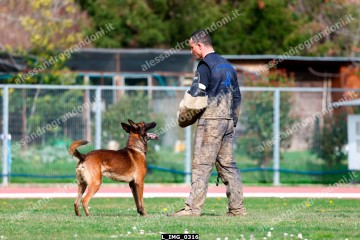 L_IMG_0316.jpg