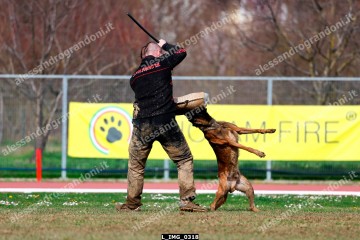 L_IMG_0318.jpg
