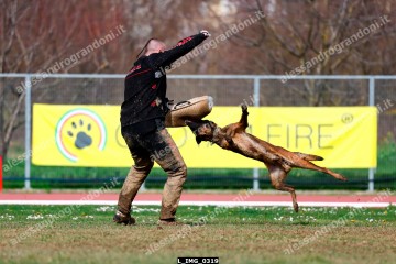 L_IMG_0319.jpg