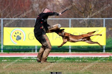 L_IMG_0320.jpg