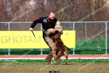 L_IMG_0325.jpg