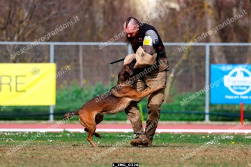 L_IMG_0326.jpg
