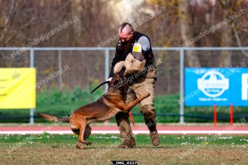 L_IMG_0327.jpg