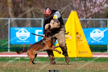 L_IMG_0329.jpg