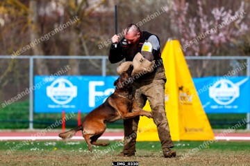 L_IMG_0330.jpg
