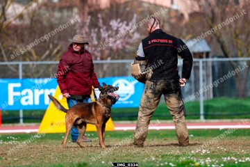 L_IMG_0334.jpg