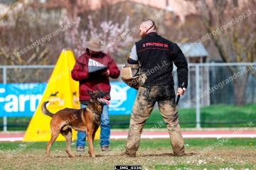 L_IMG_0336.jpg
