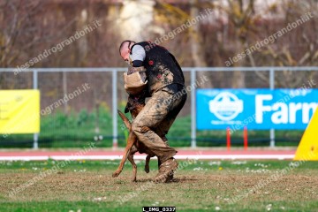 L_IMG_0337.jpg
