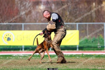 L_IMG_0338.jpg