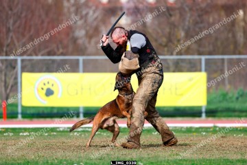 L_IMG_0339.jpg