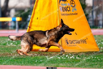 L_IMG_0345.jpg