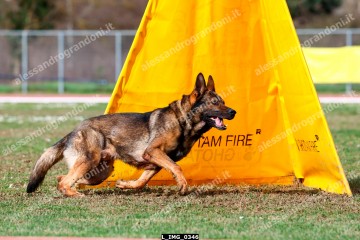 L_IMG_0346.jpg