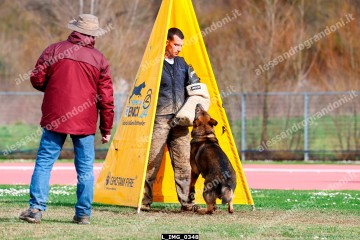 L_IMG_0348.jpg