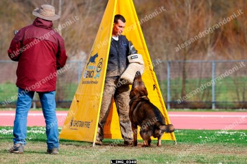 L_IMG_0349.jpg