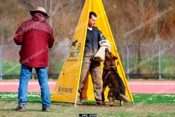 L_IMG_0350.jpg
