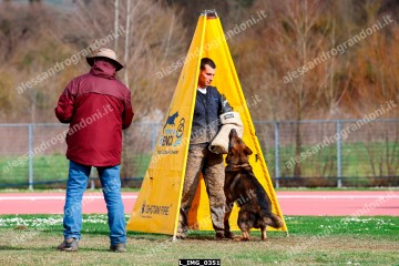 L_IMG_0351.jpg